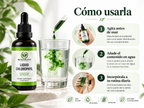 Clorofila Líquida Benevolent 60 ml