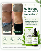 Clorofila Líquida Benevolent 60 ml