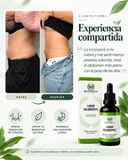 Clorofila Líquida Benevolent 60 ml